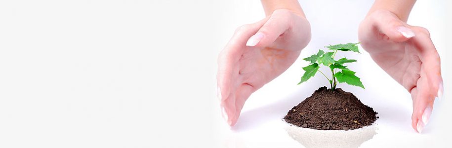 Sciencera are a group of experienced, award-winning scientists and science communicators