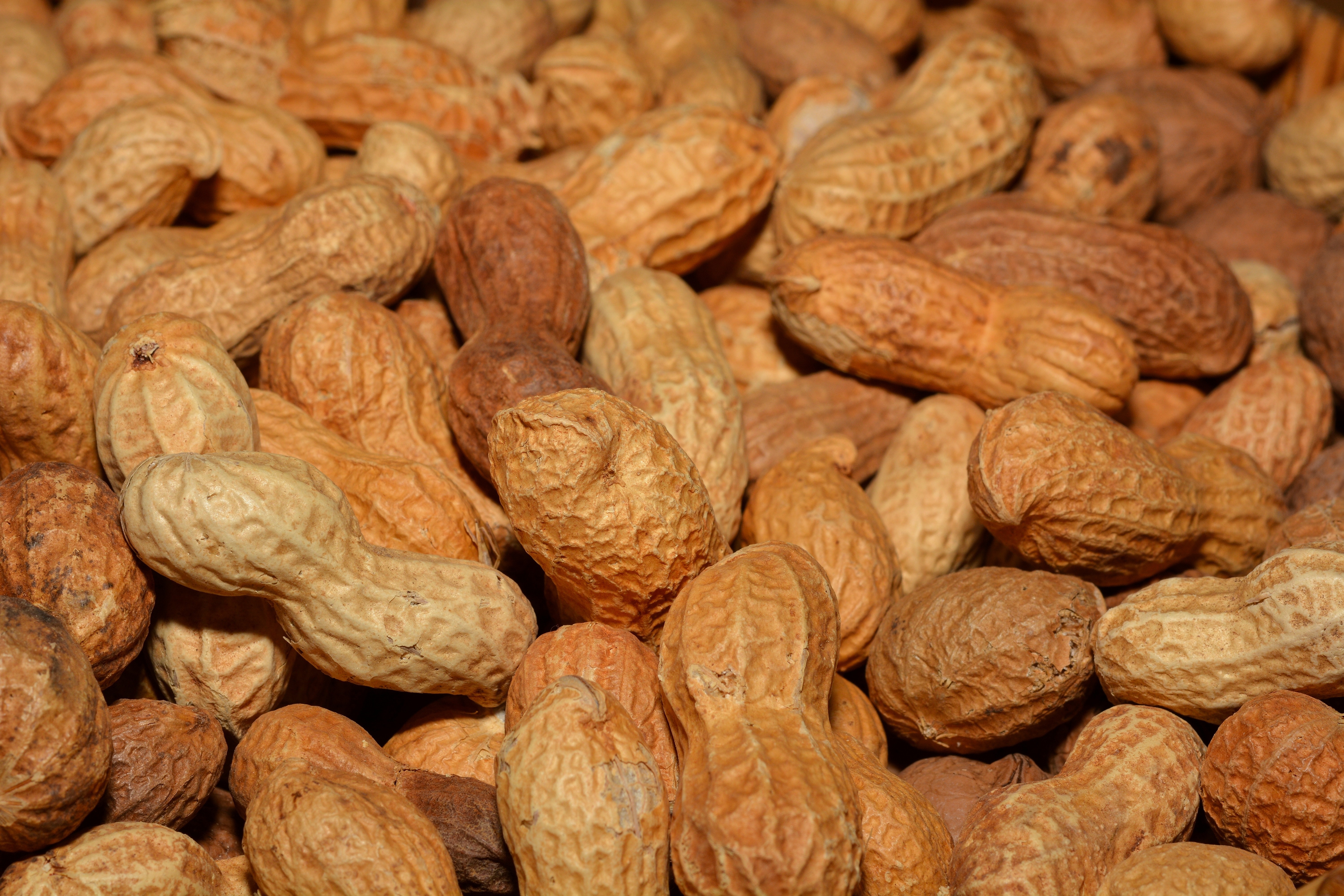 OIT or Oral immunotherapy could be useful to treat food allergies like peanut allergy.